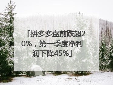 拼多多盘前跌超20%，第一季度净利润下降45%