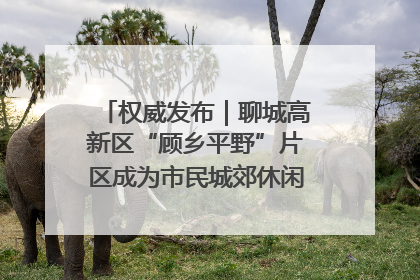 权威发布｜聊城高新区“顾乡平野”片区成为市民城郊休闲全新目的地