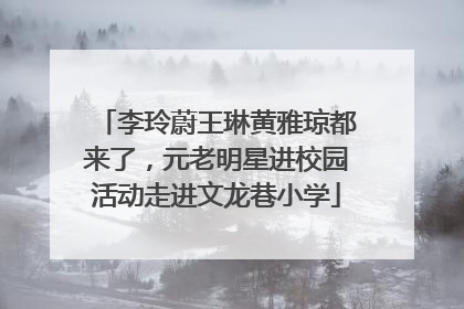 李玲蔚王琳黄雅琼都来了，元老明星进校园活动走进文龙巷小学
