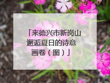 来德兴市新岗山 邂逅夏日的诗意画卷（图）
