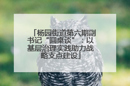 杨园街道第六期副书记“圆桌谈”：以基层治理实践助力战略支点建设