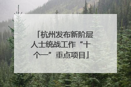 杭州发布新阶层人士统战工作“十个一”重点项目