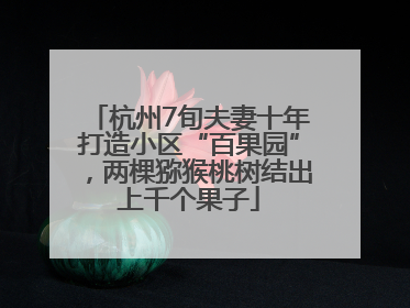 杭州7旬夫妻十年打造小区“百果园”，两棵猕猴桃树结出上千个果子