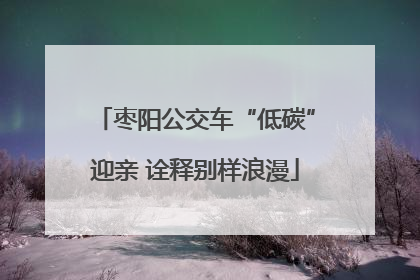 枣阳公交车“低碳”迎亲 诠释别样浪漫