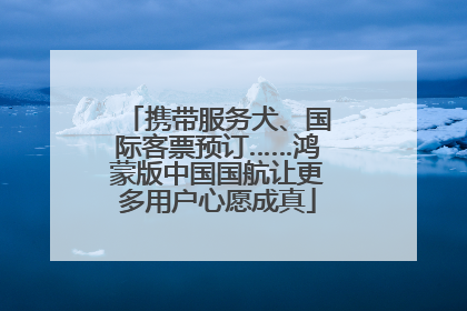 携带服务犬、国际客票预订……鸿蒙版中国国航让更多用户心愿成真