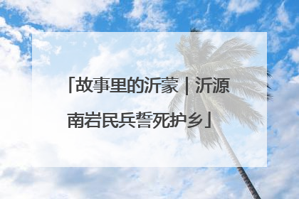 故事里的沂蒙｜沂源南岩民兵誓死护乡
