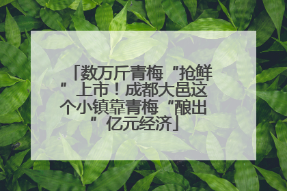 数万斤青梅“抢鲜”上市！成都大邑这个小镇靠青梅“酿出”亿元经济