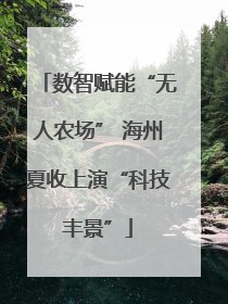 数智赋能“无人农场” 海州夏收上演“科技丰景”
