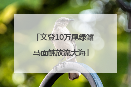 文登10万尾绿鳍马面鲀放流大海