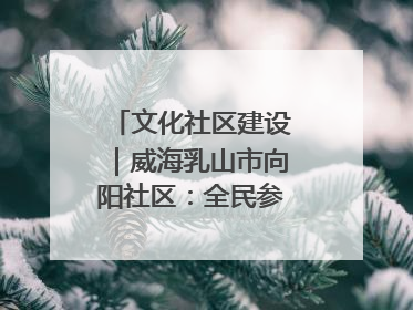 文化社区建设｜威海乳山市向阳社区：全民参与 共建共享
