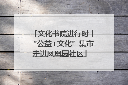 文化书院进行时丨“公益+文化”集市走进凤凰园社区