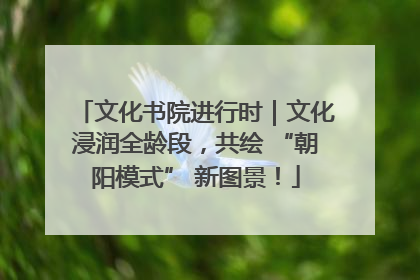 文化书院进行时｜文化浸润全龄段，共绘 “朝阳模式” 新图景！