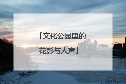 文化公园里的花影与人声
