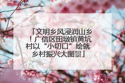 文明乡风浸润山乡！广信区田墩镇黄坑村以“小切口”绘就乡村振兴大图景