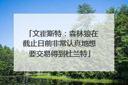 文霍斯特：森林狼在截止日前非常认真地想要交易得到杜兰特