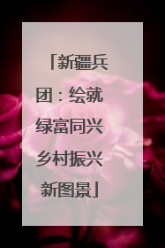 新疆兵团：绘就绿富同兴乡村振兴新图景