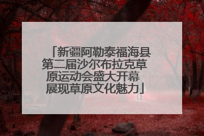 新疆阿勒泰福海县第二届沙尔布拉克草原运动会盛大开幕 展现草原文化魅力