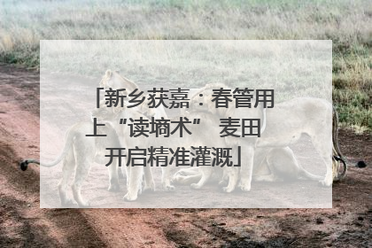新乡获嘉：春管用上“读墒术” 麦田开启精准灌溉