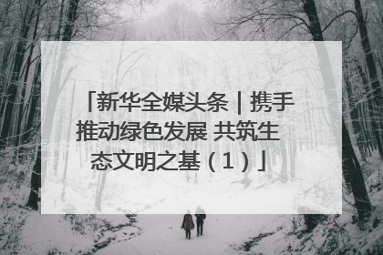 新华全媒头条｜携手推动绿色发展 共筑生态文明之基（1）
