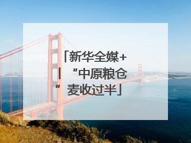 新华全媒+丨“中原粮仓”麦收过半