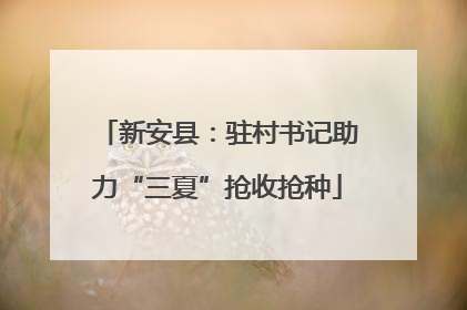 新安县：驻村书记助力“三夏”抢收抢种