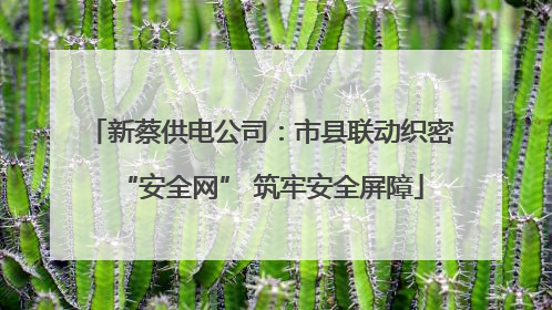 新蔡供电公司：市县联动织密“安全网” 筑牢安全屏障