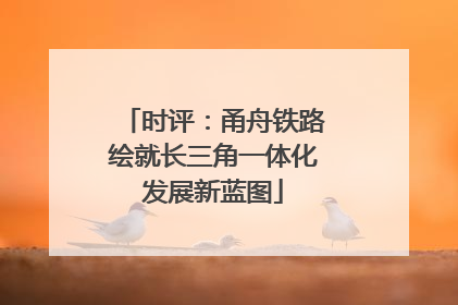 时评：甬舟铁路绘就长三角一体化发展新蓝图