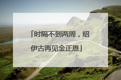 时隔不到两周，绍伊古再见金正恩