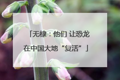 无棣：他们 让恐龙在中国大地“复活”