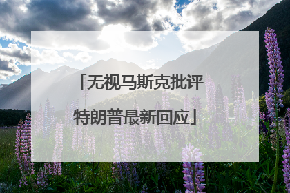 无视马斯克批评 特朗普最新回应