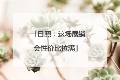 日照：这场展销会性价比拉满