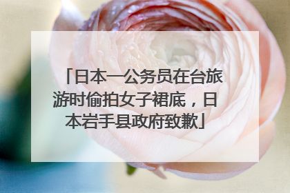 日本一公务员在台旅游时偷拍女子裙底，日本岩手县政府致歉