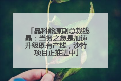 晶科能源副总裁钱晶：当务之急是加速升级既有产线，沙特项目正推进中