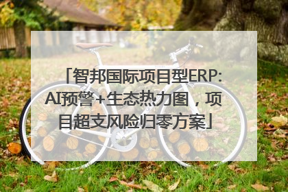 智邦国际项目型ERP:AI预警+生态热力图，项目超支风险归零方案
