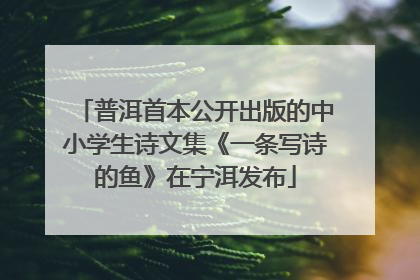普洱首本公开出版的中小学生诗文集《一条写诗的鱼》在宁洱发布