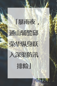 暴雨夜，通山辅警邱荣华纵身跃入深渠防汛排险