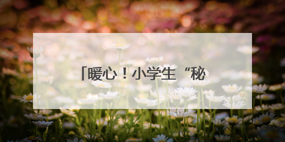 暖心！小学生“秘密”种植向日葵，赠高三学长学姐