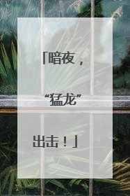 暗夜，“猛龙”出击！
