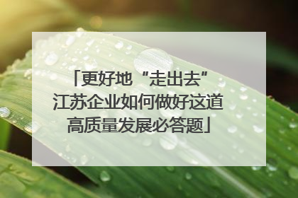 更好地“走出去” 江苏企业如何做好这道高质量发展必答题