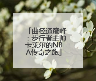 曲径通巅峰：步行者主帅卡莱尔的NBA传奇之旅