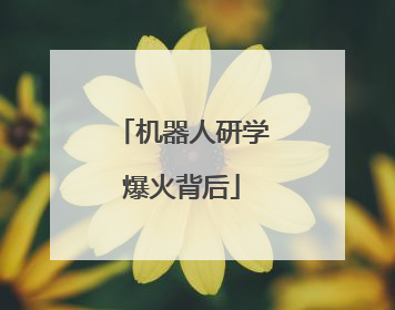 机器人研学爆火背后