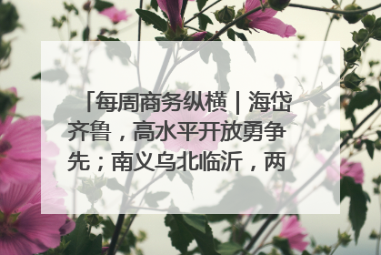 每周商务纵横｜海岱齐鲁，高水平开放勇争先；南义乌北临沂，两扇窗里观外贸