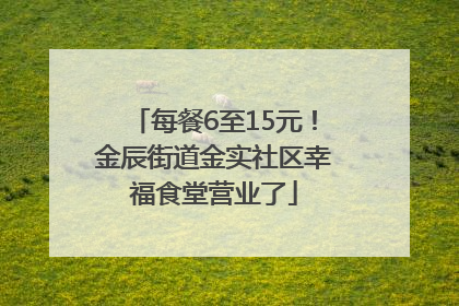 每餐6至15元！金辰街道金实社区幸福食堂营业了