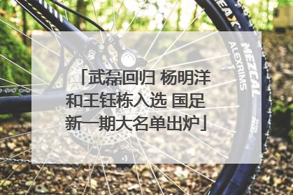 武磊回归 杨明洋和王钰栋入选 国足新一期大名单出炉