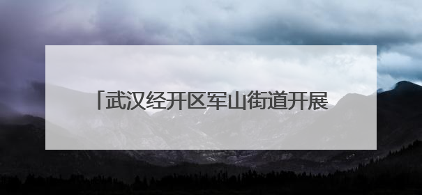 武汉经开区军山街道开展节前环境综合大整治行动
