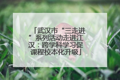 武汉市“三走进”系列活动走进江汉：跨学科学习促课程校本化升级