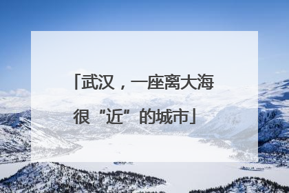 武汉，一座离大海很“近”的城市
