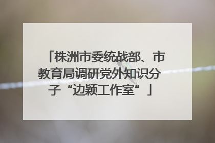 株洲市委统战部、市教育局调研党外知识分子“边颖工作室”