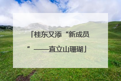 桂东又添“新成员”——直立山珊瑚