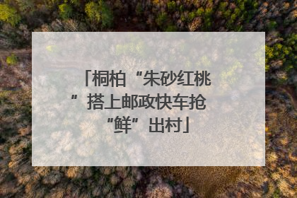 桐柏“朱砂红桃”搭上邮政快车抢“鲜”出村